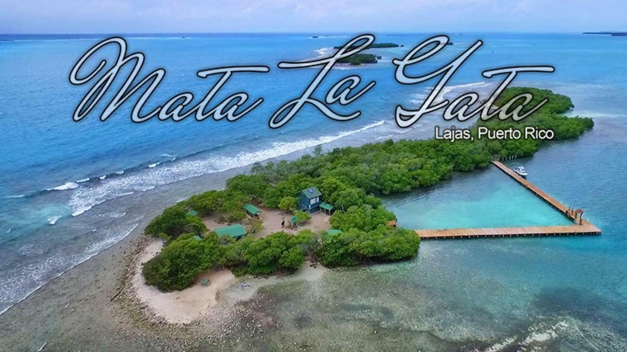 Posada Del Mar لا بارغيرا المظهر الخارجي الصورة